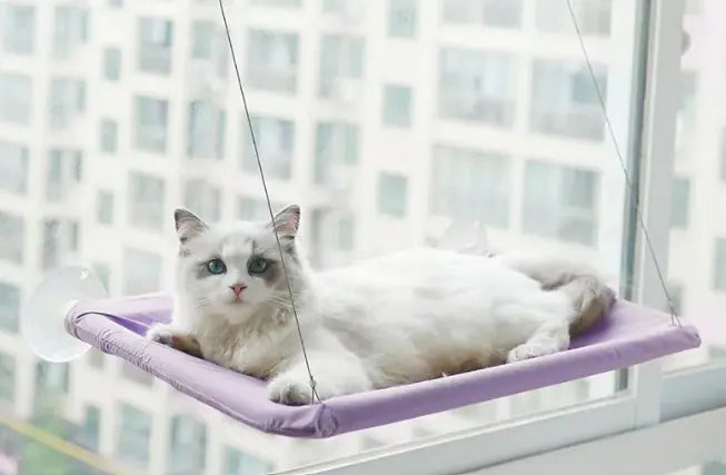 Hamaca de Ventana para Mascotas