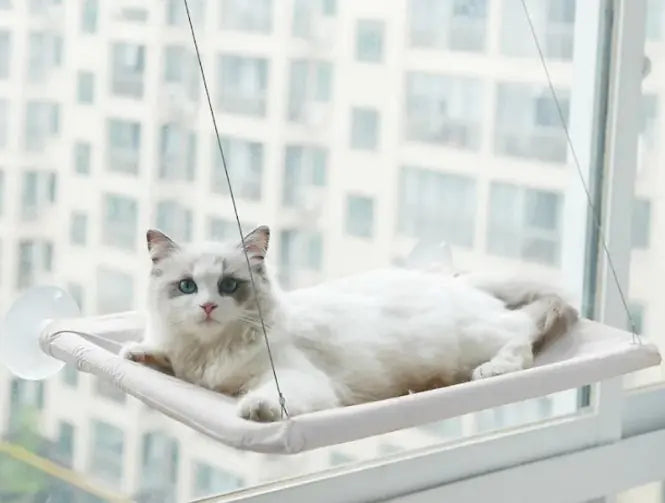 Hamaca de Ventana para Mascotas