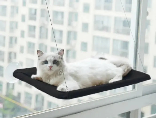 Hamaca de Ventana para Mascotas