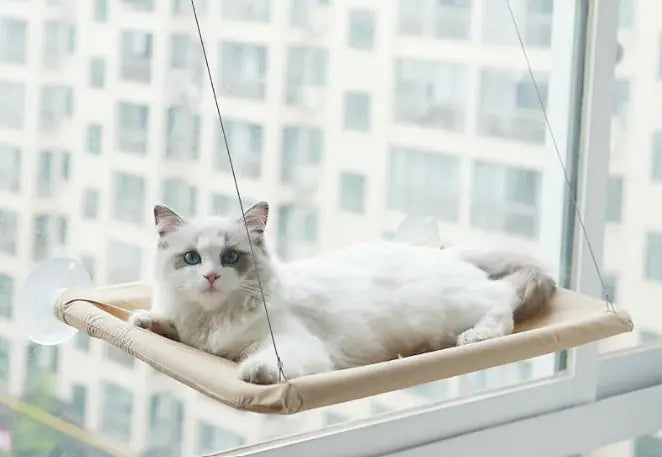 Hamaca de Ventana para Mascotas